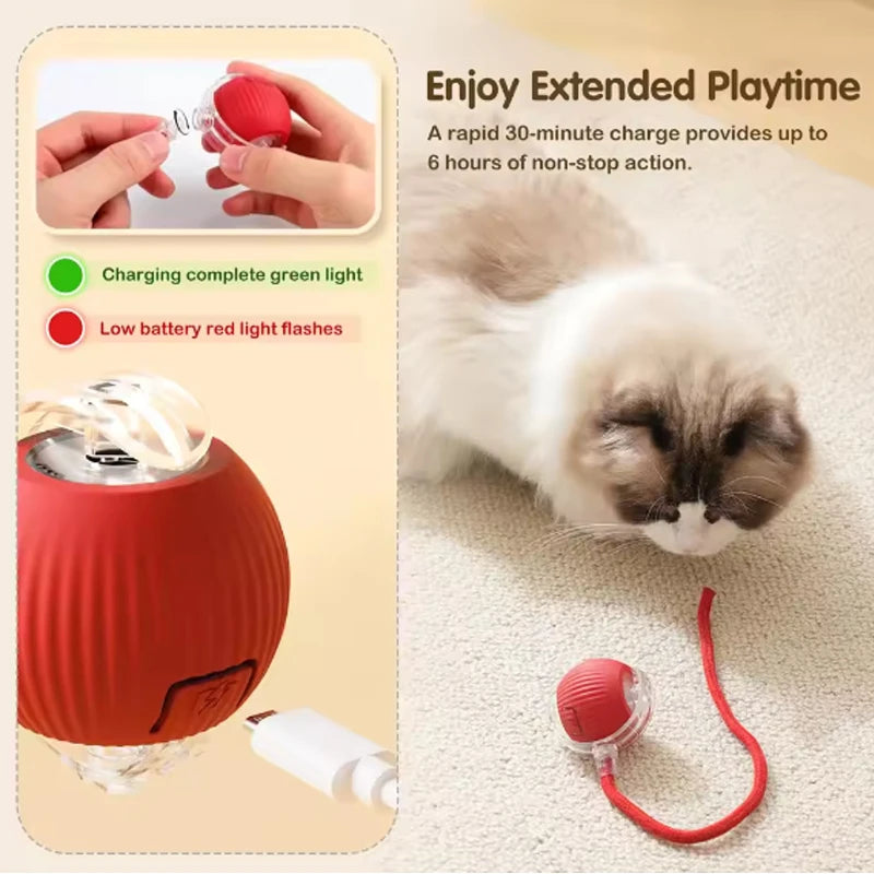 Self-Play Smart Cat Ball