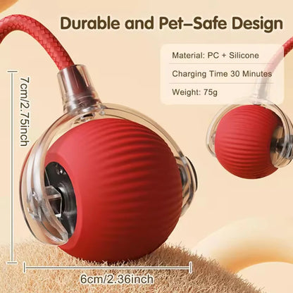 Self-Play Smart Cat Ball