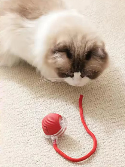 Self-Play Smart Cat Ball