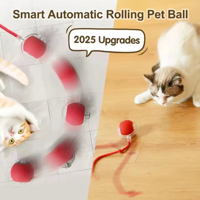 Self-Play Smart Cat Ball