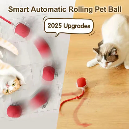 Self-Play Smart Cat Ball